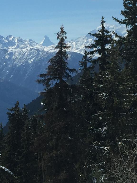 Haus Brunnen Riederalp Exterior foto